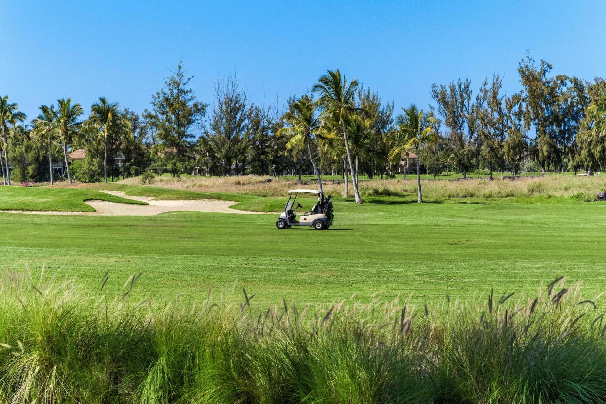 Waikoloa Beach Villas O2 Extérieur photo